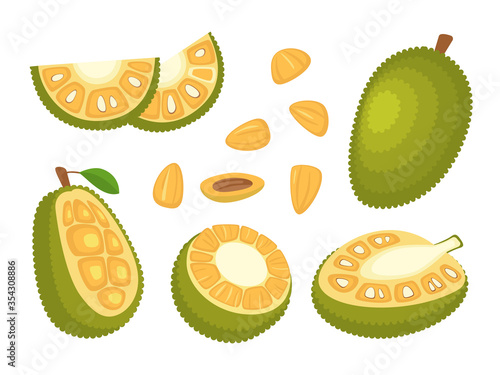 Cartoon Color Whole, Half and Pieces Fresh Jackfruit Set. Vector