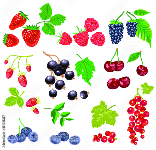 hand drawn set of red and black juicy fruit and berries with green leaves - cherry  blackcurrant  strawberry  wild strawberry  blueberry  blackberry  raspberry  redcurrant - flat vector illustration