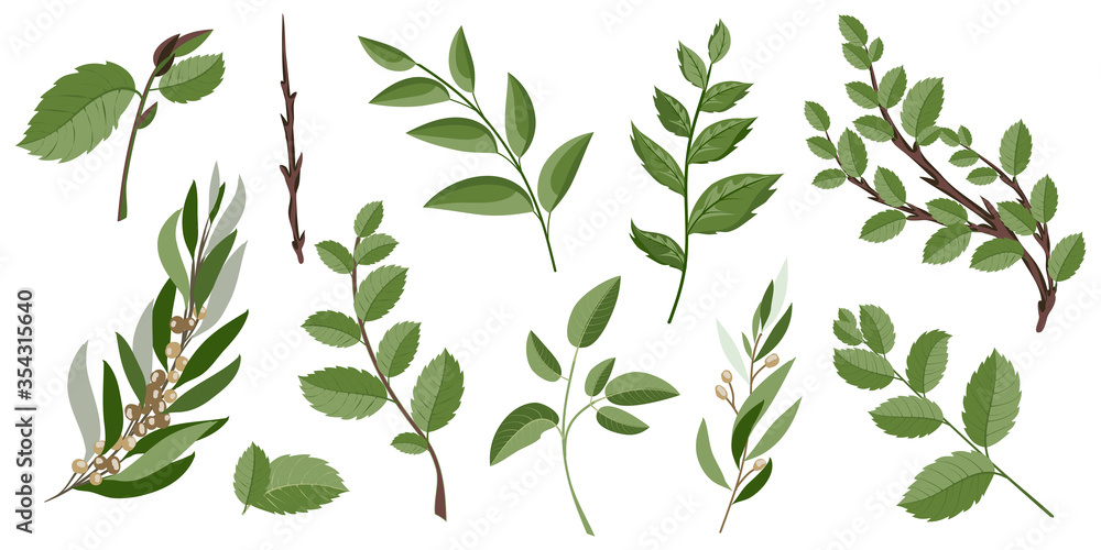 decorative branches and leaves