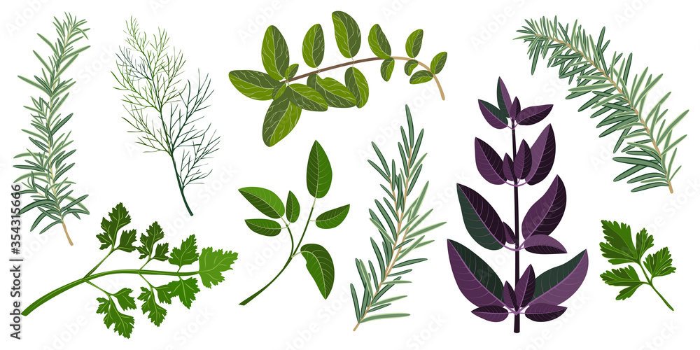 fragrant herbs and seasonings