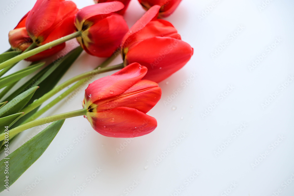 postcard mockup. bouquet of red tulips and space for text. congratulation. invitation postcard mockup. bouquet of red tulips and space for text. congratulation. invitation