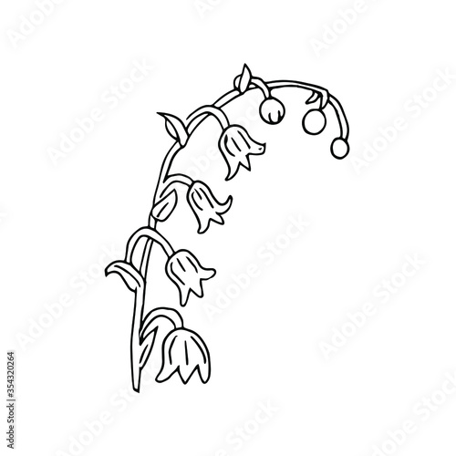 Lily of the valley flower drawing illustration. Doodle style. Black and white with a linear pattern on a white background. Isolated vector. Spring flower for design and invitations.