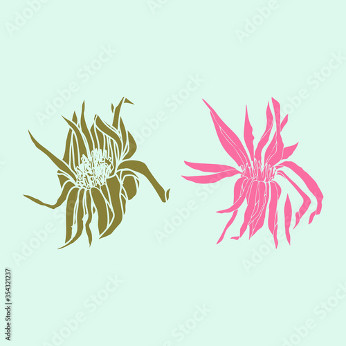 Leaves and plants hand drawn flat illustration. Botanical design elements. Ve...