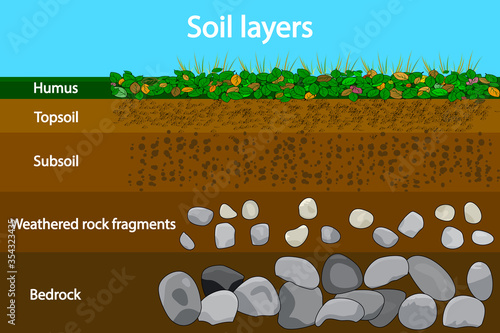 Soil layers. Diagram showing soil layers. Soil layer scheme with grass and earth texture and stones. Cross section of humus or organic and underground soil layers beneath. Geology infographics. Vector