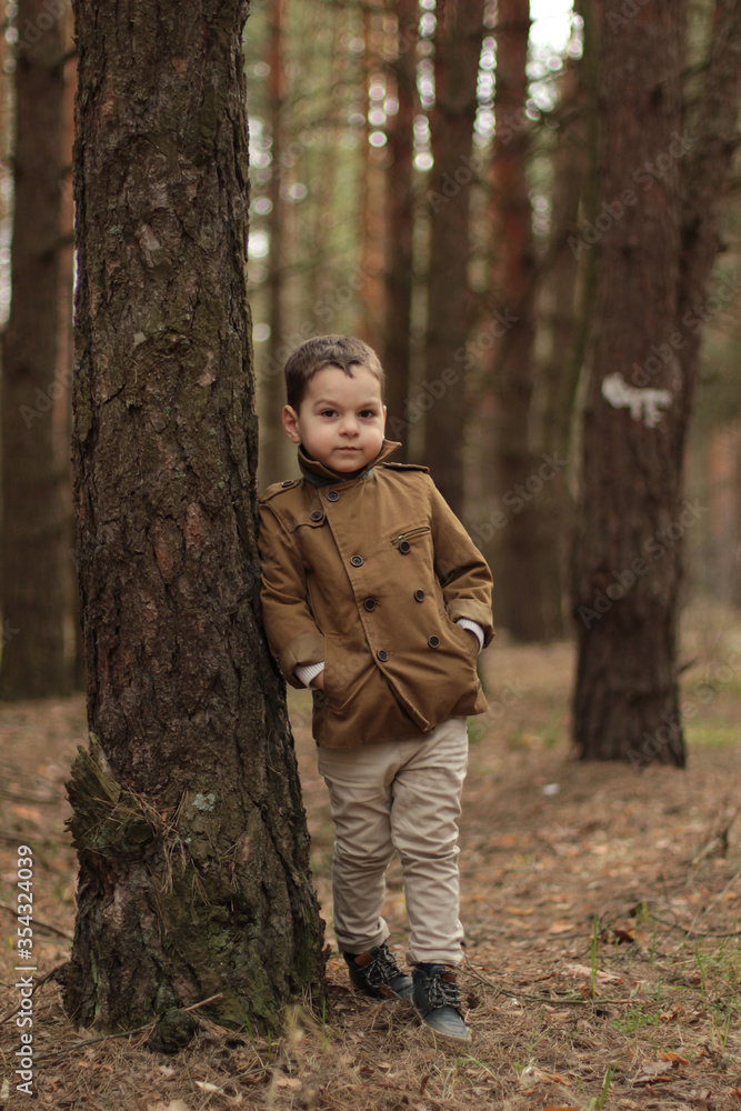 Adorable little boy hiking in the forest on summer day Adorable little boy hiking in the forest on summer day