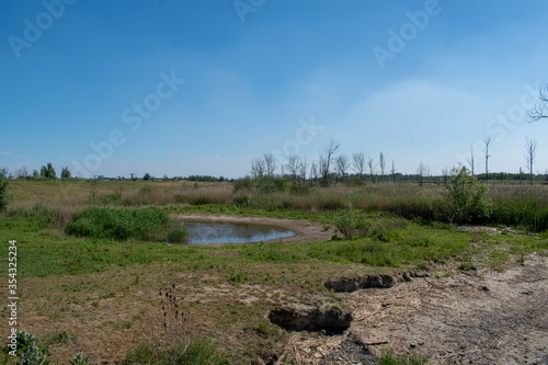 Nature reserve at the waterfalls of Kruibeke. Polder area reclaimed and now used as a flood basin. Antwerp, Belgium photo