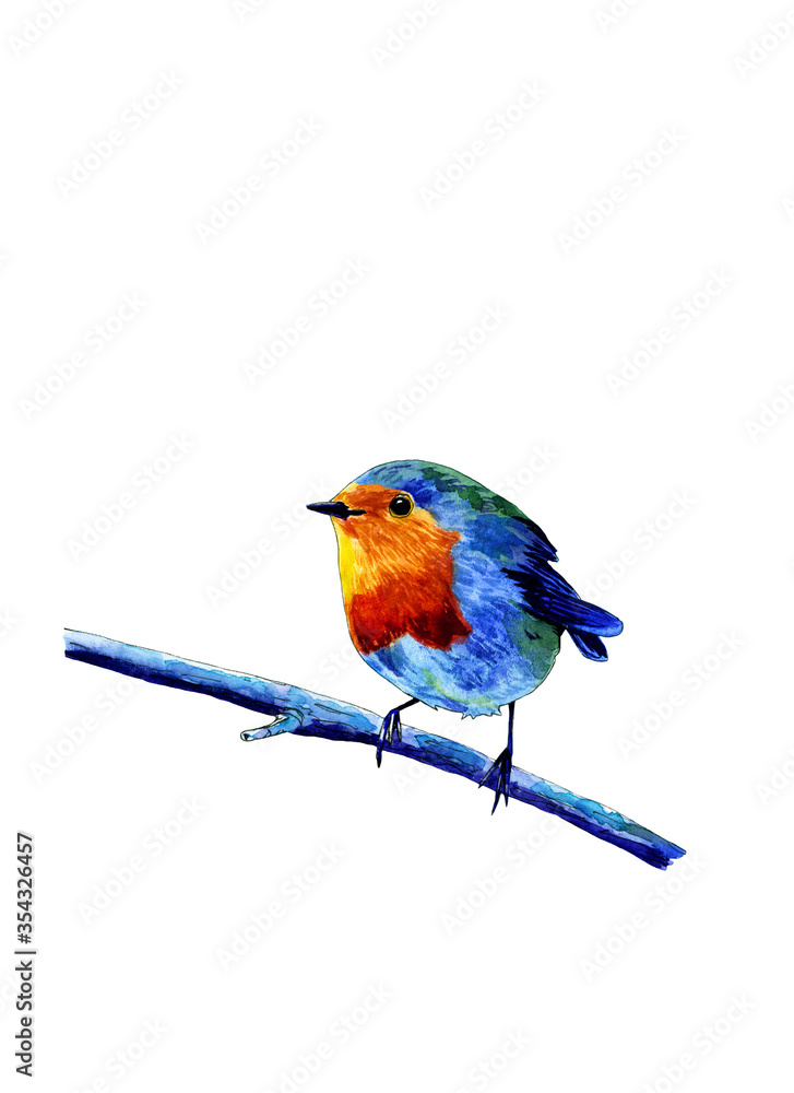 Watercolor illustration of a blue bird Erithacus rubecula on a white background.