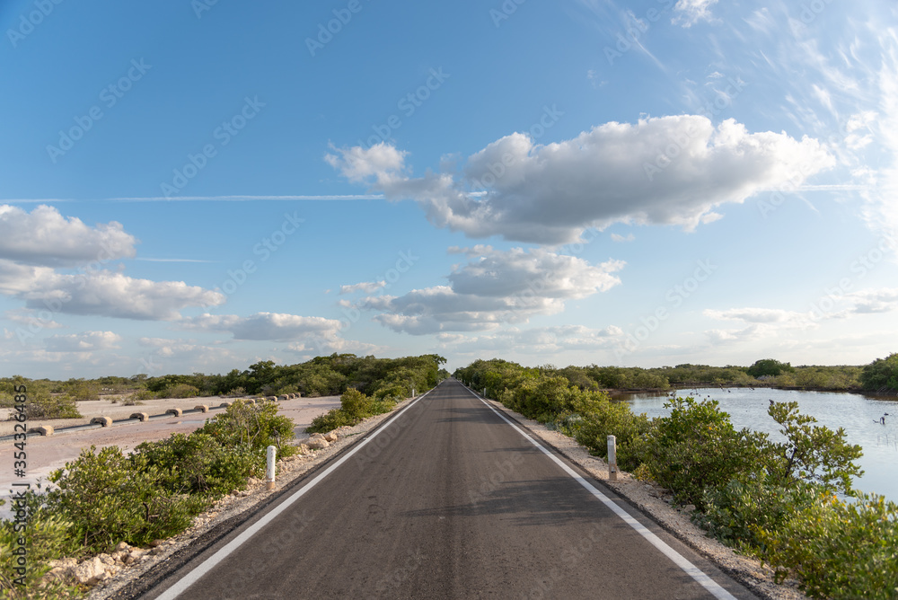 Fototapeta premium A lonely road through a dry mexican fresh water reservoir area - Progreso, Mexico (Wallpaper)