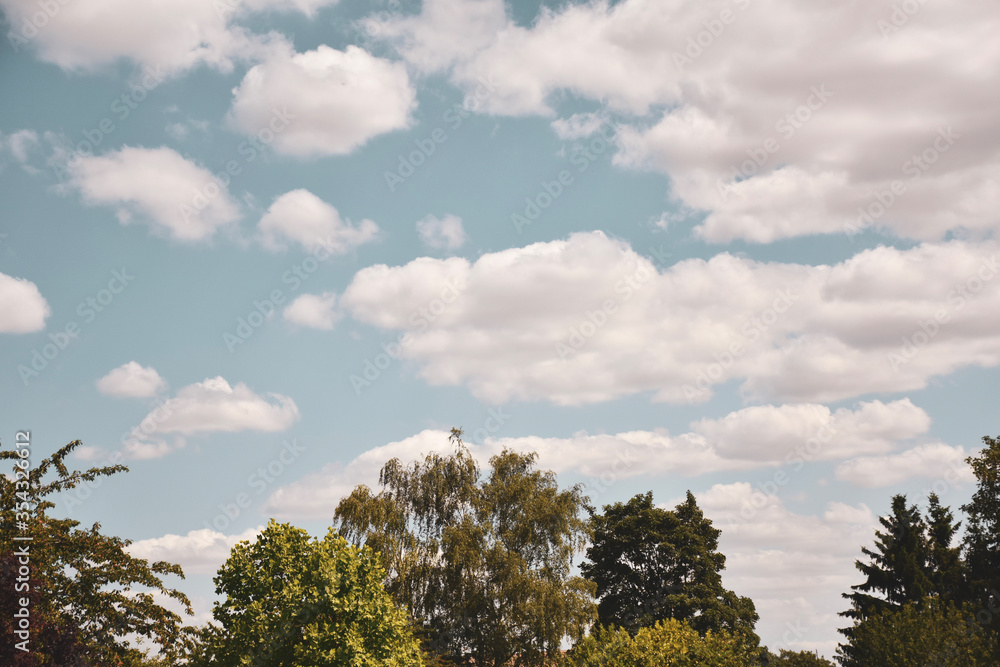 Variété d'arbres sur fond de ciel bleu nuageux. Variété d'arbres sur fond de ciel bleu nuageux.