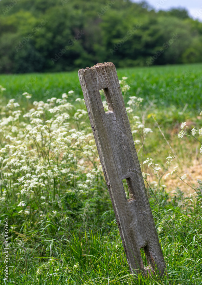 Fototapeta premium Weathered wooden fence post