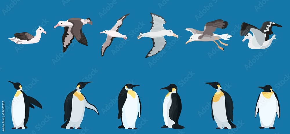 Fototapeta premium albatrosses and penguins large selection. bright characters