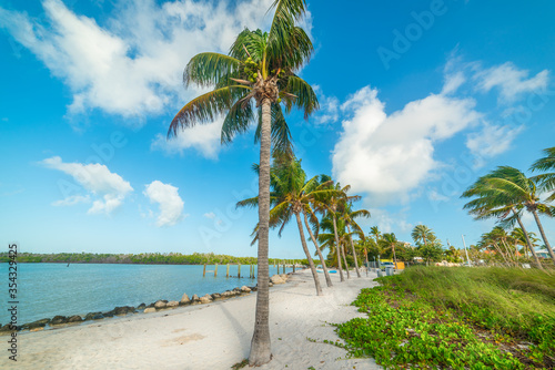 Fototapeta Naklejka Na Ścianę i Meble -  Tropical beach in Florida Keys
