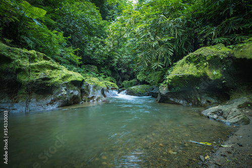 Tropical landscape. River in jungle. Soft focus. Slow shutter speed, motion photography. Nature background. Environment concept. Bangli, Bali, Indonesia