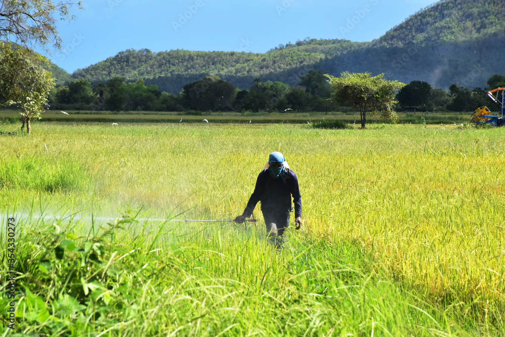 Farmers spraying pesticides in green fields.