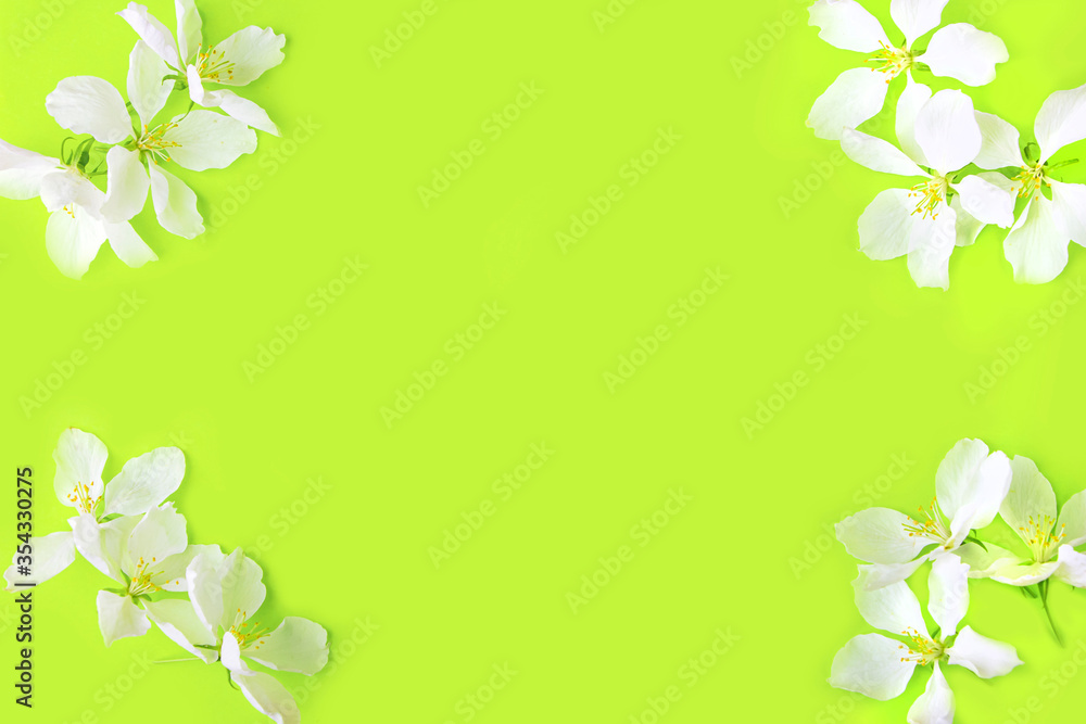 Floral pattern made of apple tree flowers on yellow background. Flat lay flowers composition for your disign. Top view. Valentine's or wedding background. Copy space for text, mock up.