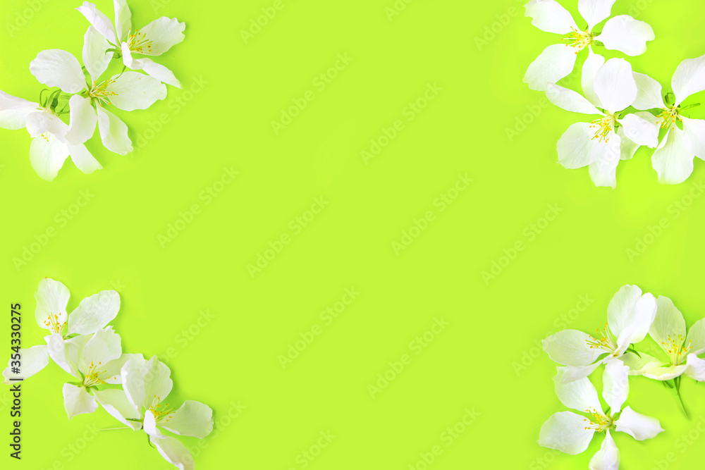 Floral pattern made of apple tree flowers on yellow background. Flat lay flowers composition for your disign. Top view. Valentine's or wedding background. Copy space for text, mock up. Floral pattern made of apple tree flowers on yellow background. Flat lay flowers composition for your disign. Top view. Valentine's or wedding background. Copy space for text, mock up.