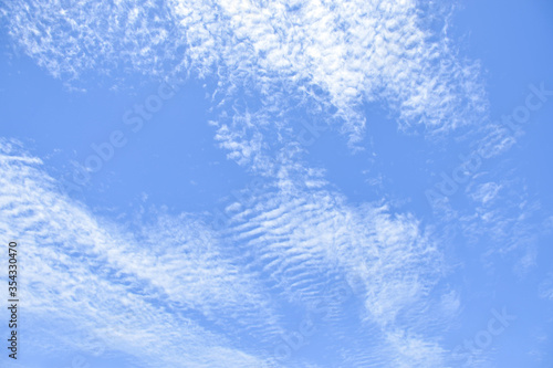 Fototapet altocumulus clouds like fluff float in the sky.