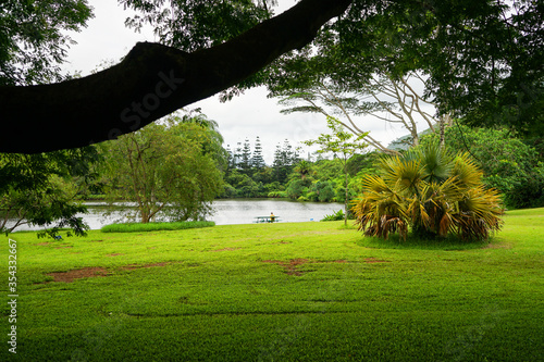 Hawaian botanical Park, a beautiful garden with a lake in O'ahu island, Hawaii
