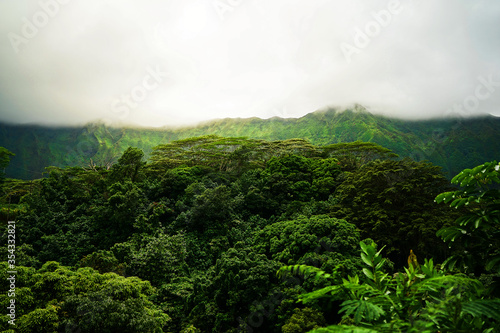 A Tropical forest with green mountains in Hawaii, O'ahu Island