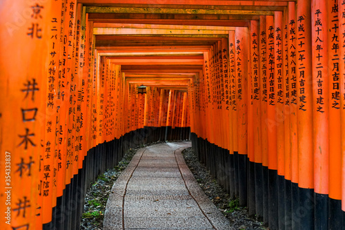The torii trail in fushimi-inari temple, Kyoto Japan