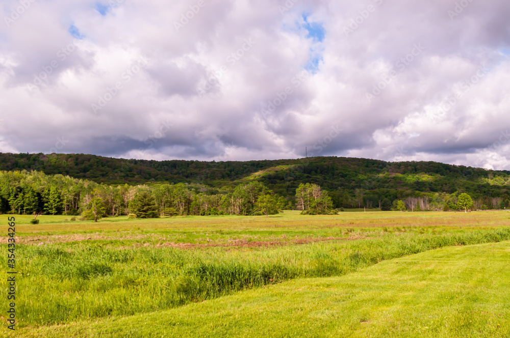 A grassy field in front of a forest with mountains in the background under bright white clouds on a summer day in Warren County, Pennsylvania, USA