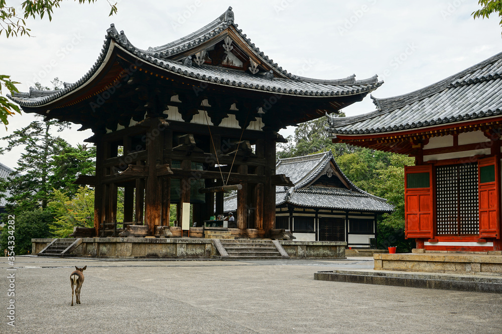A Japanese Temple with a big Iron Bell and a Deer in the Park of Nara, Japan