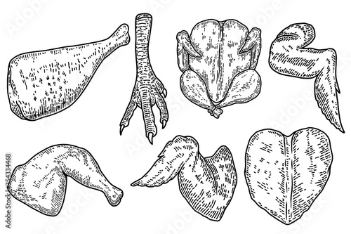 Illustration of cuts of chicken meat in engraving style. Chicken wings, legs.  Design element for logo, label, emblem, sign. Vector illustration