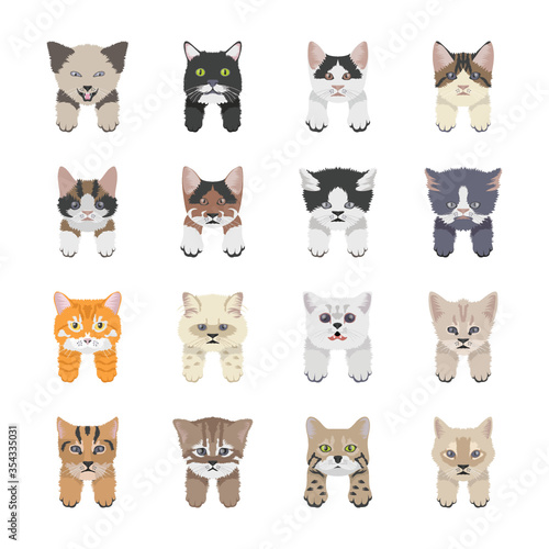 Cat Breeds Icons © Vectors Market