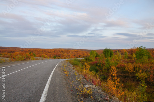 Autumn road in Russia