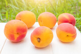 Ripe bright apricots lie on a white wooden surface. In the background is grass. Summer fruit harvest.