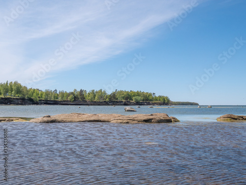 Baltic sea shore with trees © photoexpert