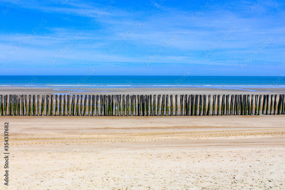 Oye-plage dans la réserve naturelle du Platier d'Oye, entre Calais et Dunkerque, Hauts-de-France