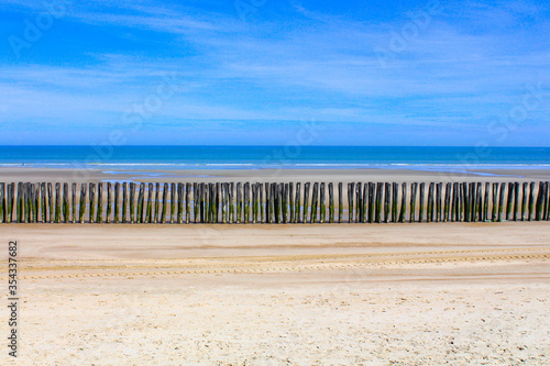 Oye-plage dans la r  serve naturelle du Platier d Oye  entre Calais et Dunkerque  Hauts-de-France