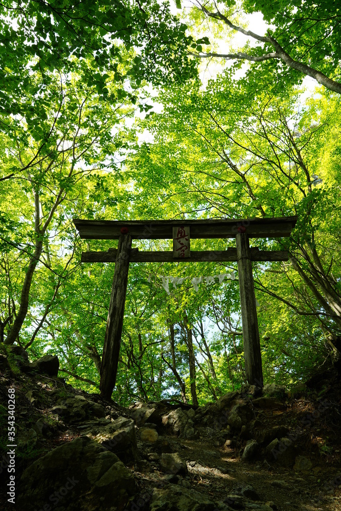 Shinto shrine gate Shinto shrine gate