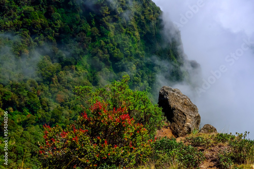 rocks in the mountains