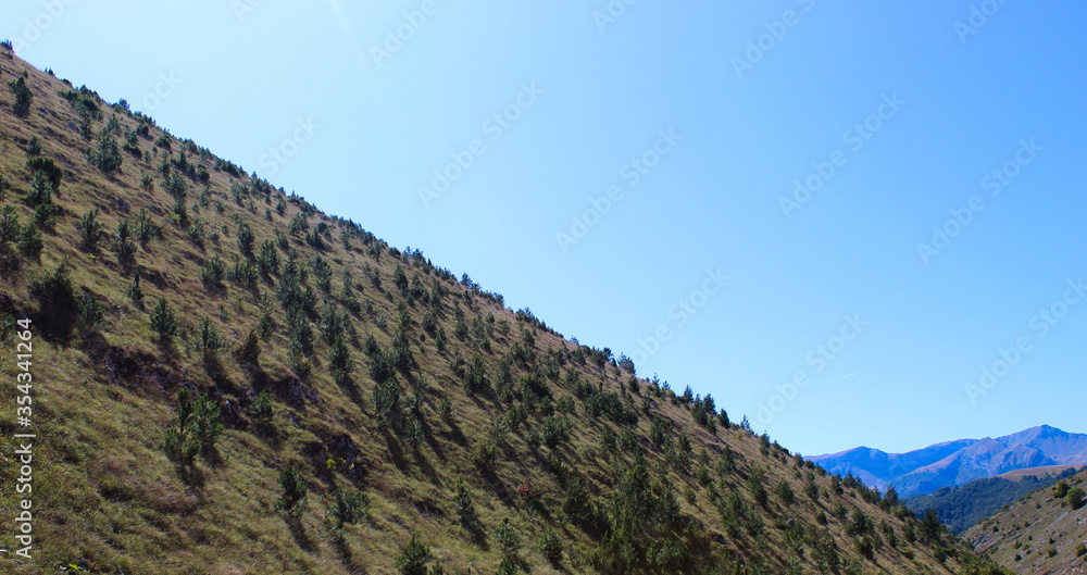 Obraz premium Coniferous trees on the hill, and in the distance there are mountains. On the way to the mountain Bjelasnica.