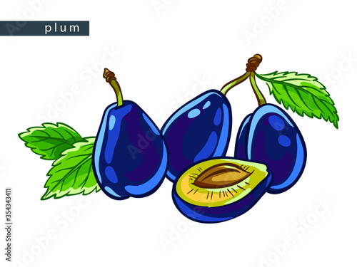 sketch blue plums: three whole and one half a plum and leaves