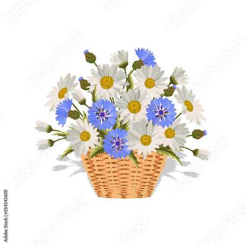 Field daisies and cornflowers in a wicker basket. Vector illustration