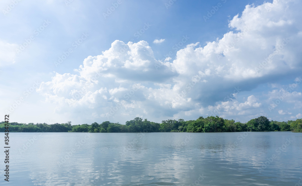 Green forest at lake with reflection blue sky and white cloud in the ...