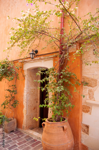 Entrance of house in mediterranean style decorated with liana in big flower pot