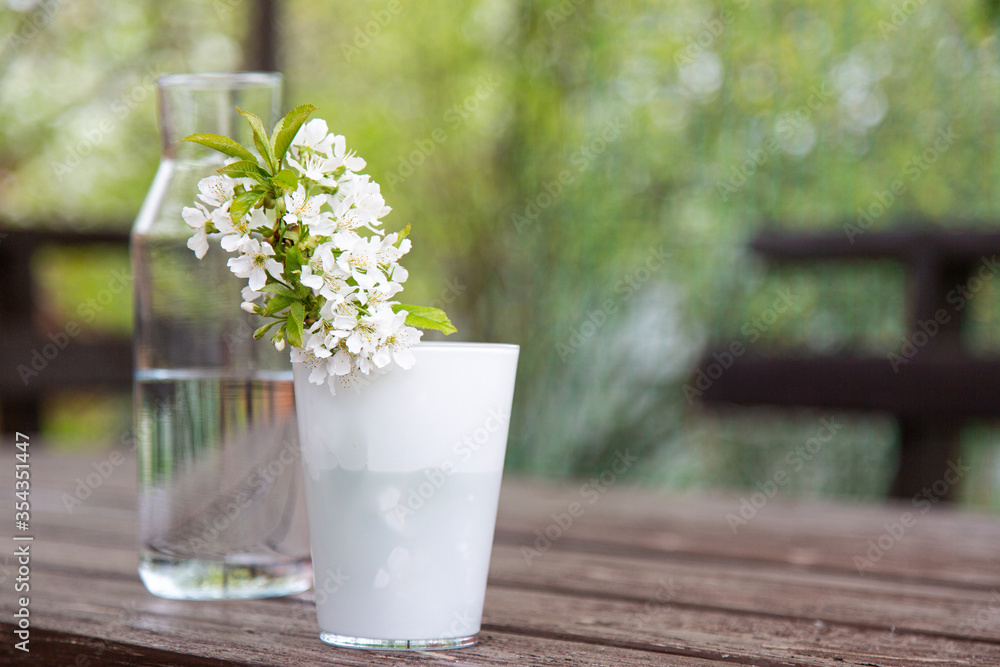 cherry branch with white flowers and green leaves in a white glass glass and clear glass water bottle on a brown wooden table outside in the garden. Bench and flowering tree in the background cherry branch with white flowers and green leaves in a white glass glass and clear glass water bottle on a brown wooden table outside in the garden. Bench and flowering tree in the background