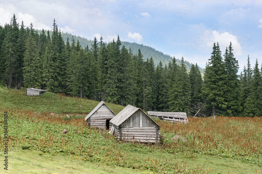 Old small houses in front of the woodland. Journey in the Carpathians mountains, Ukraine Old small houses in front of the woodland. Journey in the Carpathians mountains, Ukraine