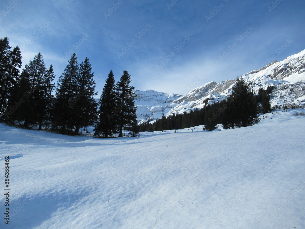 Snowy winter scene near Winteregg, Murren, Switzerland