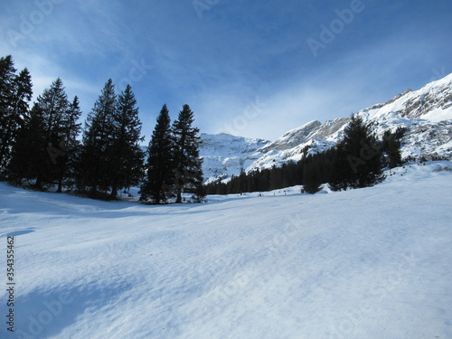 Snowy winter scene near Winteregg, Murren, Switzerland © ShamaB