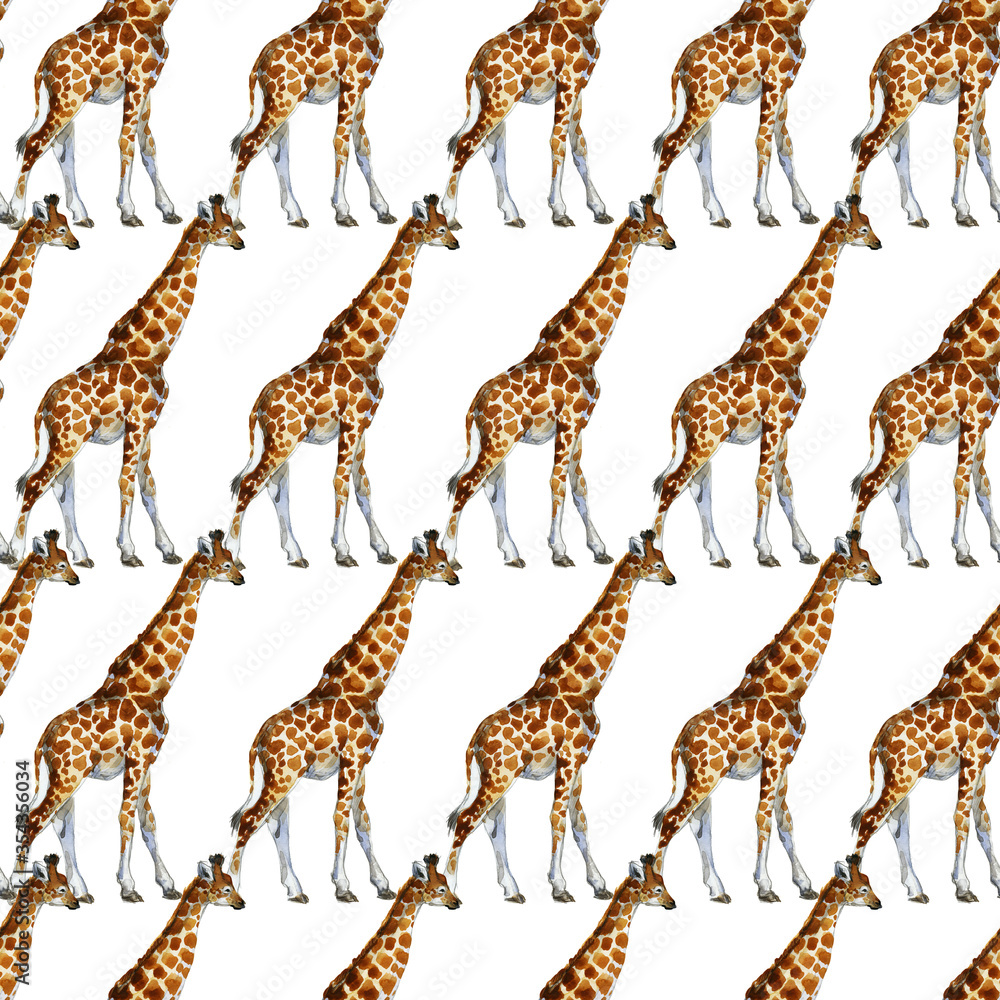 Obraz premium seamless patterns with giraffes. jungle nature watrcolor illustration.