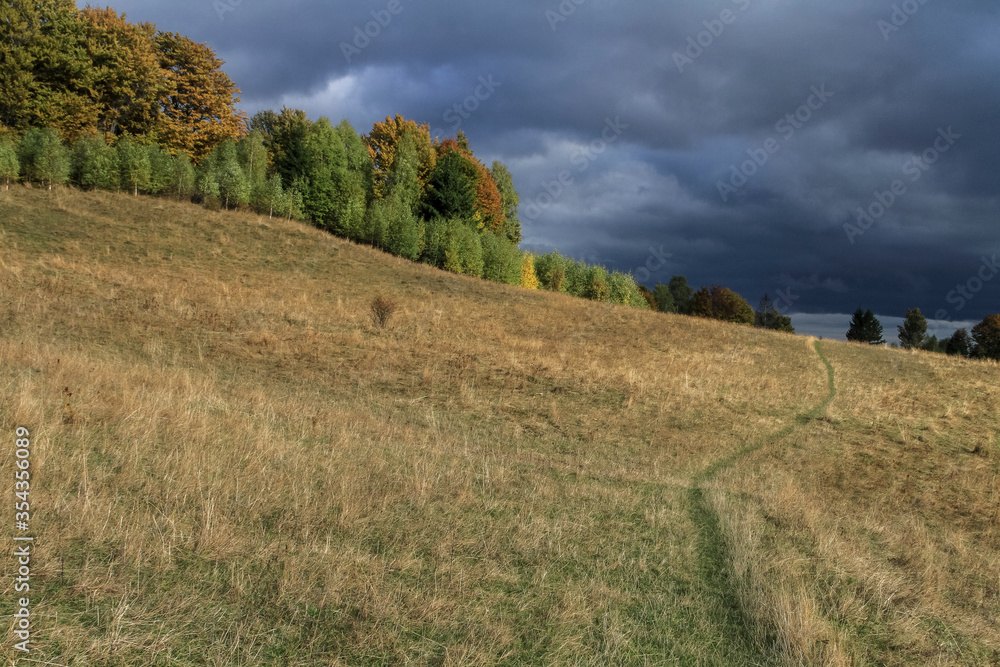 Beautiful autumn forest landscape with the storm black clouds. Hiking Travel Lifestyle concept mountain view. Journey in the Carpathians mountains, Ukraine