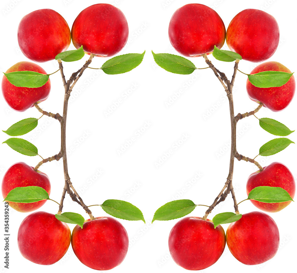 Frame of red apples on apple tree branch isolated on white
Frame of red apples on apple tree branch isolated on white