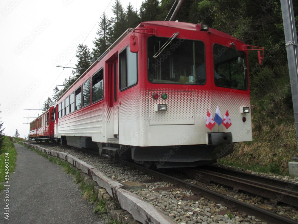 A train makes it's way down Mt. Rigi, Lucerne, Switzerland