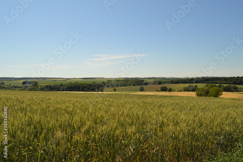 Paysage de Touraine