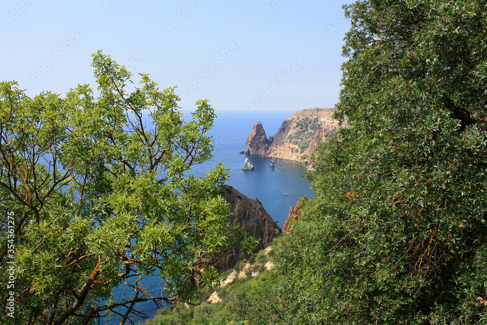 
View of the sea and years through the pines. Crimea Black Sea cape Fiolent